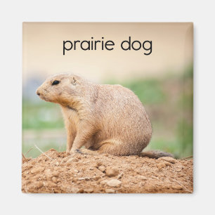 Prairie Dog Refkoelkast Magnet
