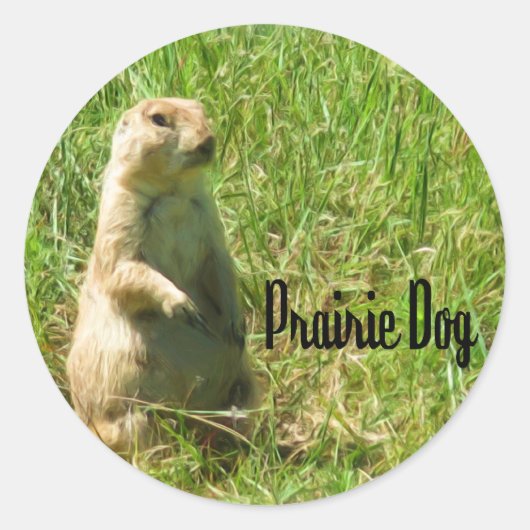 Prairie Dog Ronde Sticker (Voorkant)
