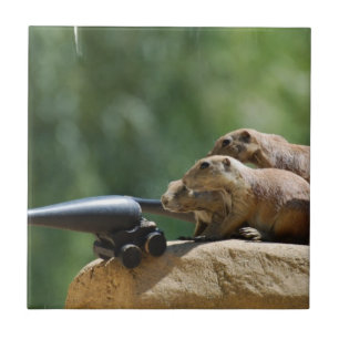 Prairie Dog Soldaten Tile Tegeltje