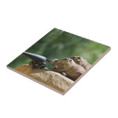 Prairie Dog Soldaten Tile Tegeltje (Zijkant)