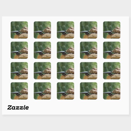 Prairie Dog Soldiers Stickers (Vel)