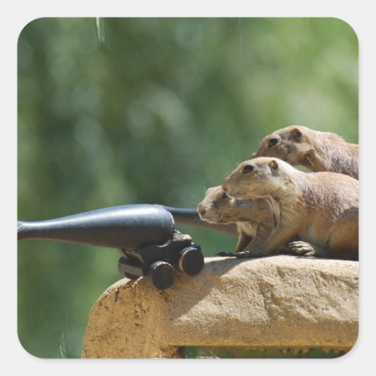 Prairie Dog Soldiers Stickers (Voorkant)