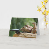 Prairie Dog Soldiers Wenskaart Kaart (Gele Bloem)