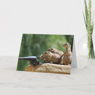 Prairie Dog Soldiers Wenskaart Kaart
