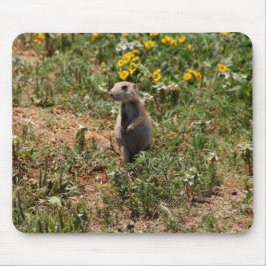 Prairie Dog Solo Muismat