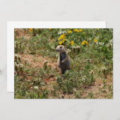 Prairie Dog Solo Notitiekaartje (Voorkant / Achterkant)