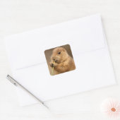 Prairie Dog sticker (Envelop)