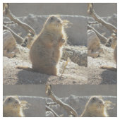Prairie Dog Stof (Close Up)