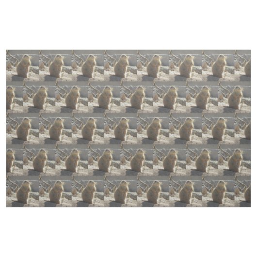 Prairie Dog Stof (Fat Quarter)