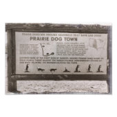 Prairie Dog Town South Dakota Wind Cave Retro Foto Afdruk (Voorkant)