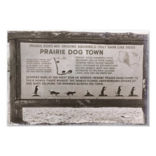 Prairie Dog Town South Dakota Wind Cave Retro Foto Afdruk