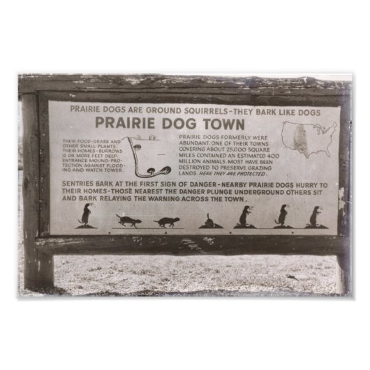 Prairie Dog Town South Dakota Wind Cave Retro Foto Afdruk (Voorkant)