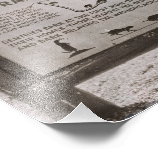 Prairie Dog Town South Dakota Wind Cave Retro Foto Afdruk (Hoek)