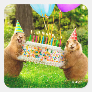 Prairie Dog Verjaardagsfeestje Vierkante Sticker