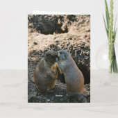 Prairie Dog Wenskaart Kaart (Achterkant)