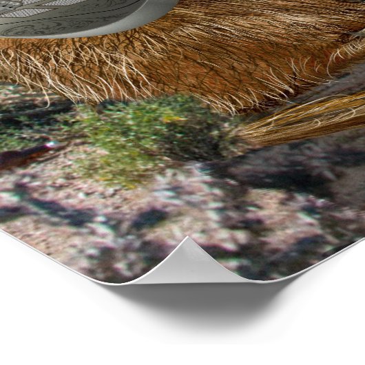 Prairie Dogs Band Poster (Hoek)