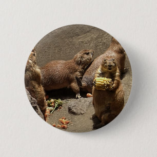 Prairie Dogs Eating Dinner 1 Ronde Button 5,7 Cm