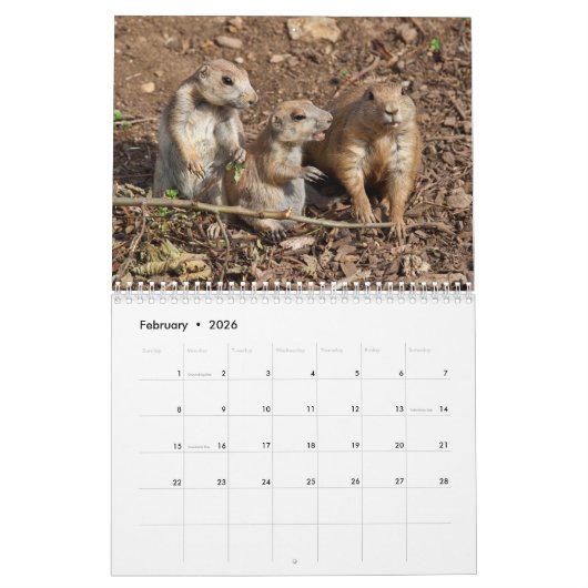 Prairie Dogs Kalender (Feb 2026)