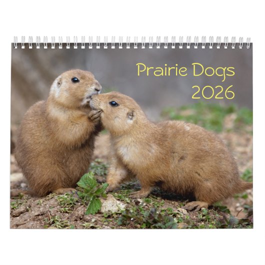 Prairie Dogs Kalender (Hoes)