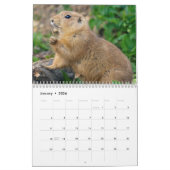 Prairie Dogs Kalender (Jan 2026)