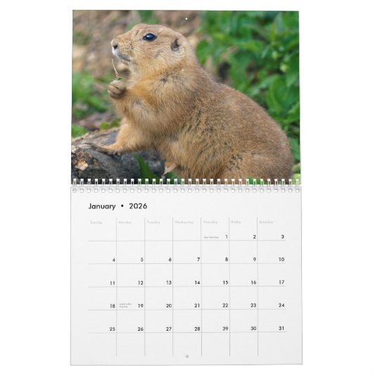 Prairie Dogs Kalender (Jan 2026)