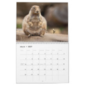 Prairie Dogs Kalender (Mar 2027)