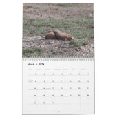 Prairie Dogs Kalender (Mar 2026)