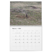 Prairie Dogs Kalender (Feb 2026)