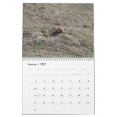 Prairie Dogs Kalender (Jan 2027)