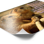 Prairie Dogs met Romeinen 15:5-6 Foto Afdruk (Hoek)