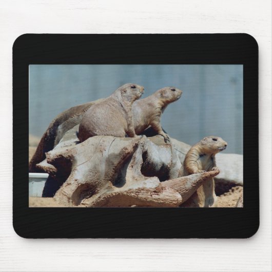 Prairie Dogs Mousepad Muismat (Voorkant)