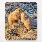 PRAIRIE DOGS MUISMAT (Voorkant)