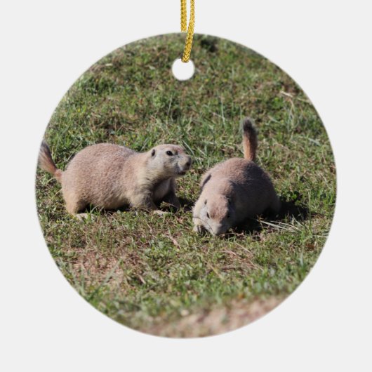 Prairie Dogs Play in Badlands National Park Keramisch Ornament (Voorkant)