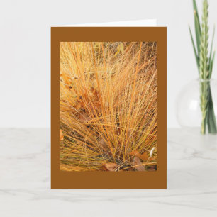Prairie Dropseed in Herfst Blank Note Kaart