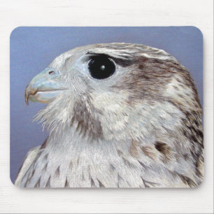 Prairie Falcon Muismat
