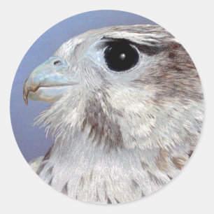 Prairie Falcon Ronde Sticker