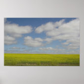 Prairie Fields Print Manitoba Landscape Prints (Voorkant)