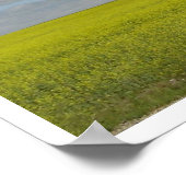 Prairie Fields Print Manitoba Landscape Prints (Hoek)