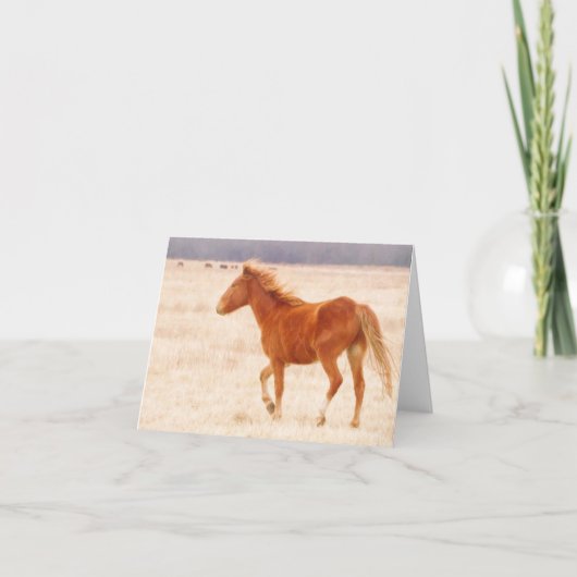 Prairie Fire Bedankkaart (Voorkant)