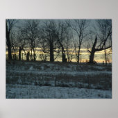 Prairie Gold Poster (Voorkant)