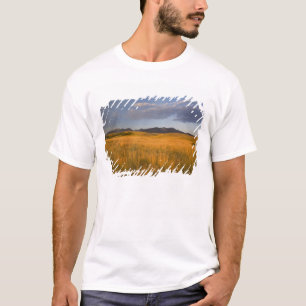 Prairie graslanden in de uitlopers van de t-shirt