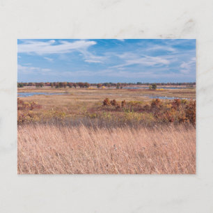 prairie grassen en wetlands bij het necedah - brie briefkaart