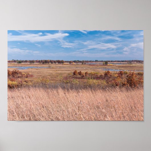 prairie grassen en wetlands bij necedah poster (Voorkant)