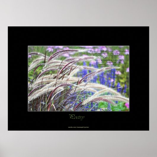 Prairie Grasses & Poem Natuur Art Poster (Voorkant)