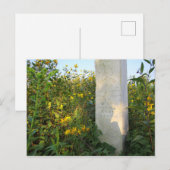 Prairie Gravestone, begraafplaats Bigelow, Ohio Briefkaart (Voorkant / Achterkant)