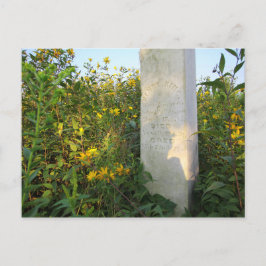 Prairie Gravestone, begraafplaats Bigelow, Ohio Briefkaart