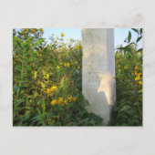 Prairie Gravestone, begraafplaats Bigelow, Ohio Briefkaart (Voorkant)