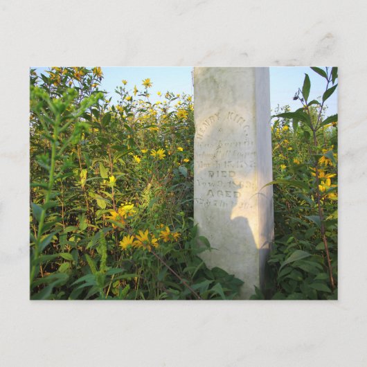 Prairie Gravestone, begraafplaats Bigelow, Ohio Briefkaart (Voorkant)
