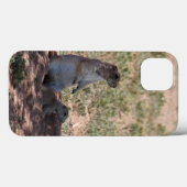 Prairie hond familie iPhone hoesjes (Achterkant (horizontaal))