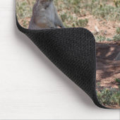 Prairie Hond Familie Muismat (Hoek)